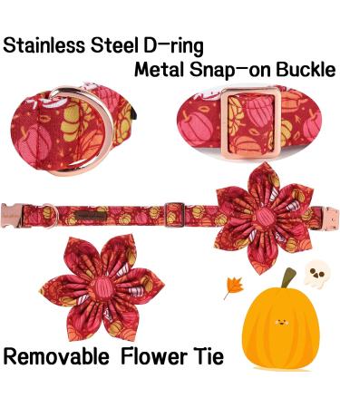 Unique Style Paws Pumpkin Dog Collar - Adjustable Comfortable Flower Collar for Girl Dogs | XL (16-26in) | Halloween Theme - Buy Online on GoSupps.com