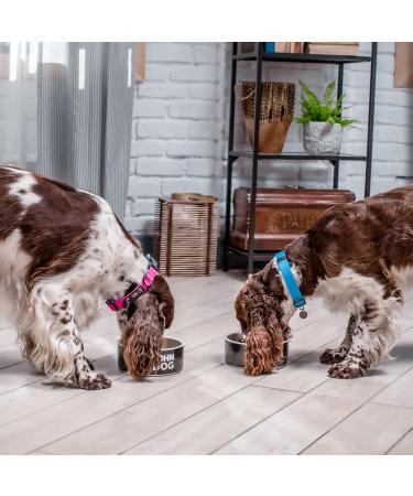 JOHN DOG Berry Adult Beef with Blueberries - Wet Dog Food - 6 x 400 g - Buy Online on GoSupps.com