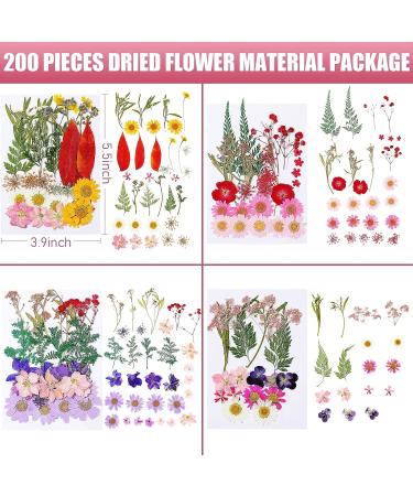 Nuanchu Real Dried Pressed Flowers - 200 Pieces for Resin Mold, Scrapbooking, DIY Crafts - Daisy, Leaves for Jewelry, Candle Making - Buy Online on GoSupps.com