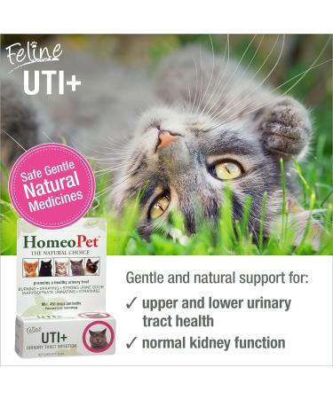 HomeoPet UTI Plus for Cats - Urinary Tract Support - 15ml - Buy Online on GoSupps.com