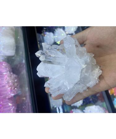 Gift for Family Novelty Natural Quartz Crystal Purple Ghost Cluster Specimen Cluster Clear Quartz Cluster Lucky Stone Home Goods (Color : 8 Size : 400-500g) 400-500g 8 - Buy Online on GoSupps.com