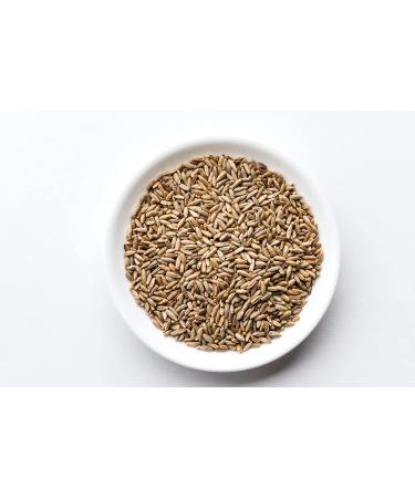 Organic Rye Berries 10 lbs - Non-GMO, Kosher, Raw Bulk Seeds from USA - Buy Online on GoSupps.com
