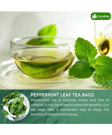 Lavendium Premium 30 Peppermint Tea Bags 100% Natural & Pure Peppermint Leaves. Loose Leaf Peppermint Herbal Tea. Peppermint Leaf Tea. No Sugar No Caffeine No Gluten Vegan. - Buy Online on GoSupps.com