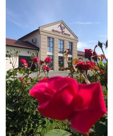 100% Natural Bulgarian Rose Water Spray 200ml Moisturising and Refreshing Face Body Hair Toner Pure Calming and Cleansing Rose Hydrolat Mist Irritated Acne Sensitive Skin Toner - Buy Online on GoSupps.com