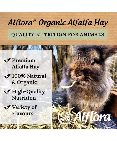 Alflora Organic 1KG Premium Alfalfa Meadow Hay with Beetroot - 100% Natural - High Protein & Fiber - Ideal for Rabbits, Gerbils, Hamsters, Guinea Pigs - Buy Online on GoSupps.com