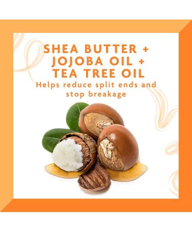 Cantu Tea Tree & Jojoba Hair & Scalp Oil with Shea Butter 6 fl oz - Nourishing Hair Treatment - Buy Online on GoSupps.com