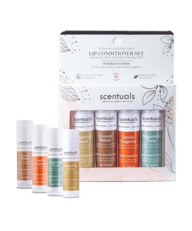 Lip Balm Set of 4 Made with Shea Butter Cocoa Butter Avocado & Jojoba oil Beeswax Moisturizing Lip Care & Hydration Cruelty Free Natural Lip Conditioner 4 psc Set of 4 Mix - Buy Online on GoSupps.com