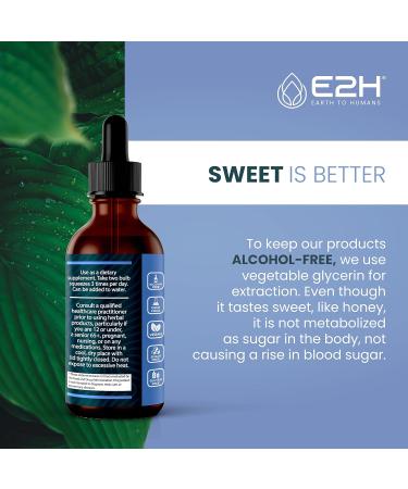 E2H Natural Black Currant Extract Cold Pressed Black Currant Seed - Immune System Health - Fast Absorbing Liquid (2 Bottles) 2 Fl Oz (Pack of 2) - Buy Online on GoSupps.com