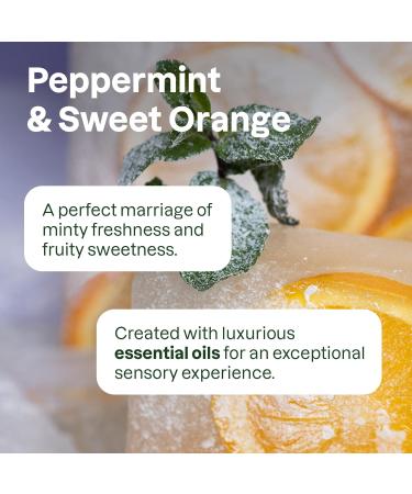 Buy ATTITUDE Hydrating Hair Shampoo - EWG Verified Vegan Essential Oils Refillable Bottle Peppermint & Sweet Orange 16 Fl Oz - International Shipping  - Buy Online on GoSupps.com