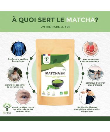 Organic Matcha Powder - Powerful Antioxidant - Premium Quality Japanese Matcha Tea - Green Food Coloring - Kitchen and - Buy Online on GoSupps.com