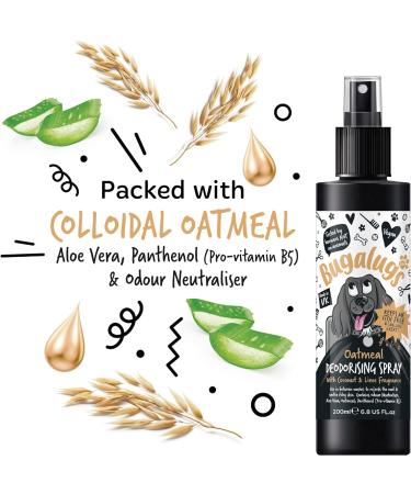BUGALUGS Oatmeal Dog deodorant deodorising spray with Coconut & Lime scent dog perfume spray with odour neutraliser - vegan dog cologne dog grooming odour eliminator use with oatmeal shampoo Spray 200ml - Buy Online on GoSupps.com