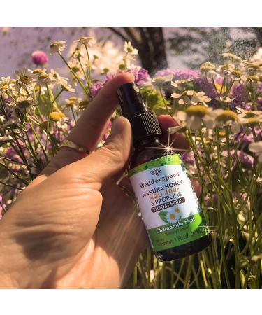 Wedderspoon Propolis & Manuka Honey Throat Spray - Natural Sore Throat Relief with Chamomile & Mint | Immune Support | 1 Fl Oz - Buy Online on GoSupps.com