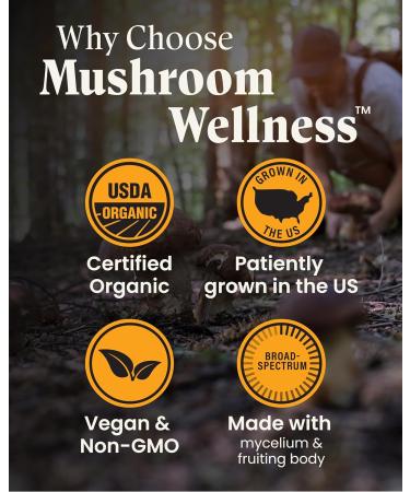 Mushroom Wellness Turkey Tail Blend with Reishi: Organic Turkey Tail & Reishi Mushroom Capsules, Mushroom Powder Supplement, Traditional Immune, Energy & Vitality Support, 90 Vegan Capsules - Buy Online on GoSupps.com