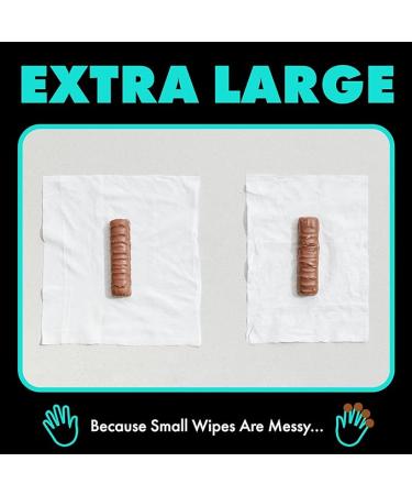 Dude Flushable Wet Wipes 3-Pack - Mint Chill - 144 Count - Vitamin-E  Aloe  Eucalyptus & Tea Tree Oils - Septic Safe - Buy Online on GoSupps.com