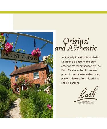 Bach Original Flower Remedies Honeysuckle 20mL - Embrace the Now, Holistic Wellness, Vegan - Buy Online on GoSupps.com
