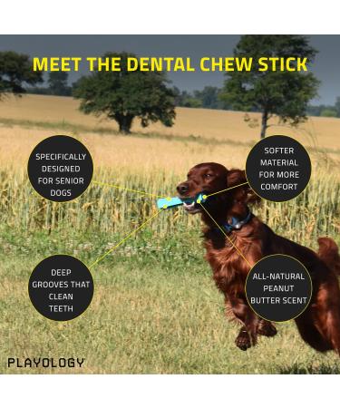Playology Dental Stick - Natural Fragrance & Peanut Butter - Size L (15.9 kg+) - Best for Large Dogs - International Shipping Available - Buy Online on GoSupps.com
