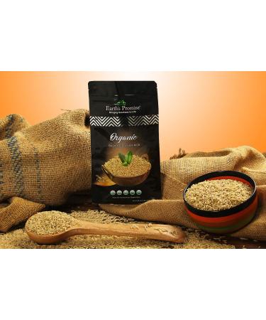 Earth's Promise Organic Basmati Brown Rice 32 oz - Non-GMO, Low-Glycemic, Gluten-Free, Natural Aroma - Sustainably Sourced & Allergen-Free - Buy Online on GoSupps.com