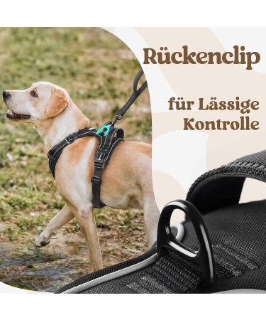 Rabbitgoo Dog Harness for Small Dogs - Adjustable No-Choke Reflective & Padded Chest Harness - Anti-Pull with Handle - Black (1 Pack) - Buy Online on GoSupps.com