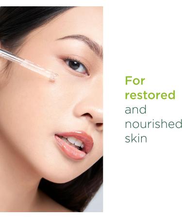 Simple 10% Ceramide Boosters & Omega Complex* Facial Serum Skin Care Product Suitable For All Skin Types For Restored and Nourished Skin 30 ml - Buy Online on GoSupps.com