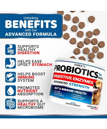 Probiotics for Dogs - Chews with Digestive Enzymes and Fiber Supplement Made in The USA - Buy Online on GoSupps.com
