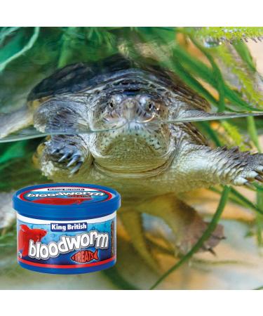 King British | Bloodworm Treats | For All Coldwater Tropical & Marine Fish Turtles & Terrapins | High Protein & Iron | Provides Excellent Colour & Condition | Complementary Treats | 7g Single - Buy Online on GoSupps.com