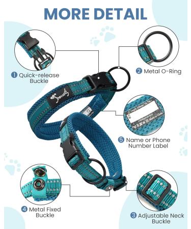 Buy PETTOM Adjustable Nylon Dog Collar - Breathable Reflective XS Blue - Perfect for Small Dogs - Buy Online on GoSupps.com