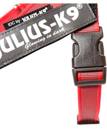 Julius-K9 Belt Harness S/Mini - Red-Grey Color | International Shipping Available - Buy Online on GoSupps.com
