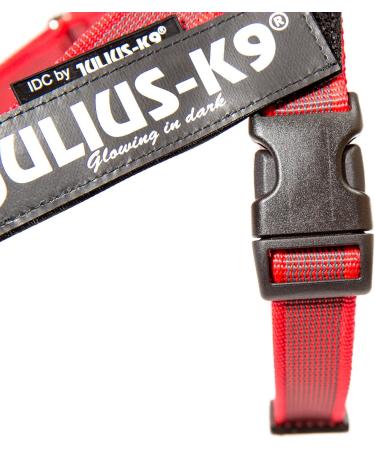 Julius-K9 Color & Gray Belt Harness XS/Mini-Mini | Red-Grey | International Shipping - Buy Online on GoSupps.com