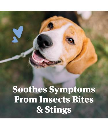 PetArmor Antihistamine Allergy Relief for Dogs Easy-to-Use Allergy Medicine for Dogs Anti-Itch Medicine Provides Relief from Insect Bites and Stings 100 Tablets Unflavored All Breed Sizes (Pack of 1) - Buy Online on GoSupps.com