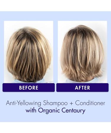 Klorane Purple Conditioner with Centaury - Brightens Blonde, Gray & White Hair - 6.7 fl.oz - Buy Online on GoSupps.com