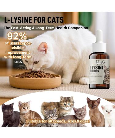 Lysine for Cats L-Lysine Liquid Drops for Cats Feline Upper Respiratory Sneezing Runny Nose Eye Function Immune Support for Kittens with Taurine Lutein and Vitamins Roast Chicken Flavor 50ML - Buy Online on GoSupps.com