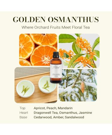 JCLOUD Golden Osmanthus Hotel Diffuser Oil Natural Essential Oils for Cold-Air & Ultrasonic Diffuser Aromatherapy 3.38 Fl Oz 100mL - Buy Online on GoSupps.com