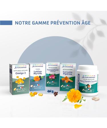 JUVAMINE - Lutein Blueberry and Vitamins A and B2 - Eye Health - Contributes to the maintenance of normal vision - 40-day program - Made in France - Buy Online on GoSupps.com