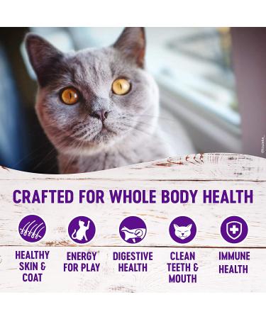 Wellness Complete Health Grain-Free Dry Cat Food - Made in USA with Real Meat - Natural Ingredients for Adult Cat Healthy Weight - 5.5 lb - Buy Online on GoSupps.com