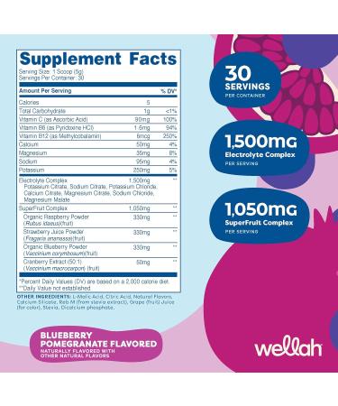 Buy Splish Splash Hydration Electrolyte Drink Mix - Blueberry Pomegranate Flavor (30 Servings) | International Shipping Available - Buy Online on GoSupps.com