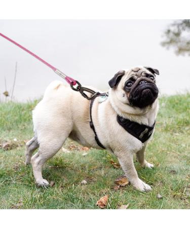 Shop Tie Out Linen for Dogs - Shock-Damping Spring 3-15m Farm Leash - Rose Red 9m | Durable & Safe for Outdoor Use - Buy Online on GoSupps.com