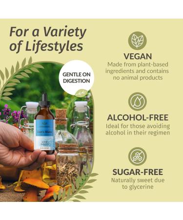 HERBAMAMA Herbal Liquid Drops Kit - Bundle of Lion's Mane & Lemon Balm Tincture 4 fl oz - Vegan Non-GMO Sugar & Alcohol-Free - 2 Pack - Buy Online on GoSupps.com