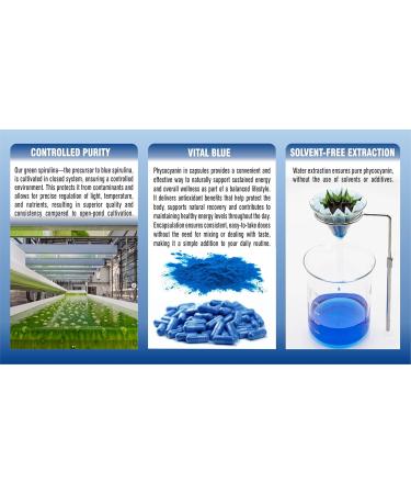PHARMAKON Organic Blue Spirulina Phycocyanin | Prebiotic Bioactive Superfood | Solvent-Free Extraction (90 Count) 90 Count (Pack of 1) - Buy Online on GoSupps.com