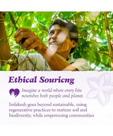 Imlakesh Organics Sacha Inchi Protein, Powder (12oz Metal Jar) Sacha Inchi 12 Ounce (Pack of 1) - Buy Online on GoSupps.com