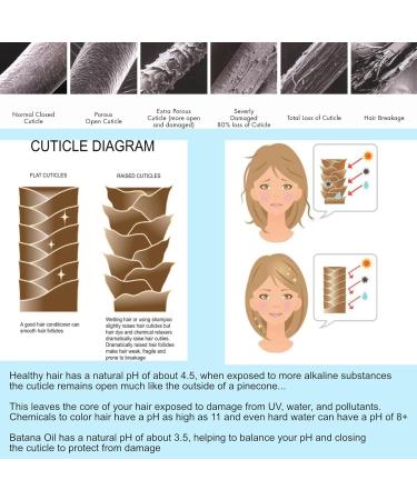 Batana Oil for Hair Growth | Argan & Rosemary Oil - Strengthening Serum for Men & Women - 100ml Thickening & Moisturizing Solution for Weak & Frizzy Hair - Buy Online on GoSupps.com