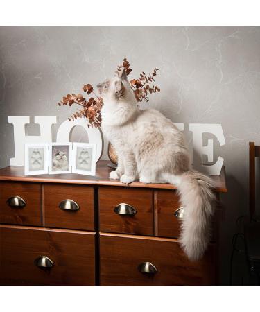 Pet Memorial Frames - Paw Print Keepsake Triple Folding Photo Frame with Clay Imprint Kit (White) | Perfect for Cat or Dog Memorabilia - Buy Online on GoSupps.com