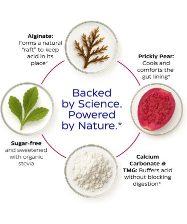 Enzymedica Heartburn Soothe Liquid Fast-Acting Antacid Alternative for Digestive Health Sugar-Free with Alginates and Botanicals Vanilla Orange Flavor 12 fl oz - Buy Online on GoSupps.com