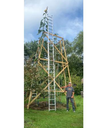 5-2 Humic/Fulvic Acid + Seaweed Extract Wonder Blend 425 Grams Wallace Organic Wonder - Buy Online on GoSupps.com