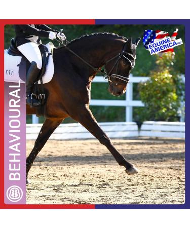 Equine America Super So Calm Powder | Premium Ready for Use of Horse & Pony Supplement | Soothing Behavior Support | 1kg - Buy Online on GoSupps.com