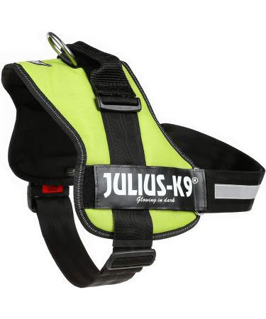 Shop K9 Powerharness 2XL/3 in Kiwi - Durable Adjustable Perfect for Active Dogs | International Shipping Available - Buy Online on GoSupps.com