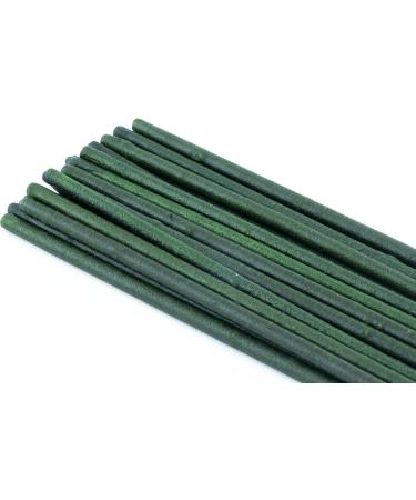 NatureHolic - Popeye Shrimp Lollipops - Spinach I Supplementary food for invertebrates I with valuable spinach I Made in Germany I 5 Lollies - Buy Online on GoSupps.com