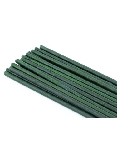 NatureHolic - Shrimp Lollipops "Popeye - Spinach" - Supplementary food for invertebrates - With valuable spinach - For special feeding moments - Made in Germany - 1