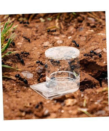 GREENADSCAPE Pet Water Feeder Ant Feeder Ant Feed Bowl Ant Keeper Tools Ant Bowl Ant Feeding Cup Plastic - Buy Online on GoSupps.com