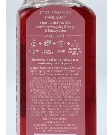 Bath and Body Works Holiday Gentle Foaming Hand Soap Set of 5 - Perfect for Gifts & Home Care | International Shipping Available - Buy Online on GoSupps.com