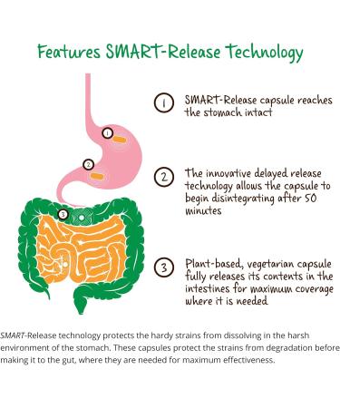 Dr. Drew Sinatra s LifeBiome Gut Restore Advanced Maximum Strength Microbiome Probiotic with Fermented Botanicals 11 Multi Strains 30 Once-Daily Capsules Vegetarian Soy- Dairy- and Gluten Free - Buy Online on GoSupps.com